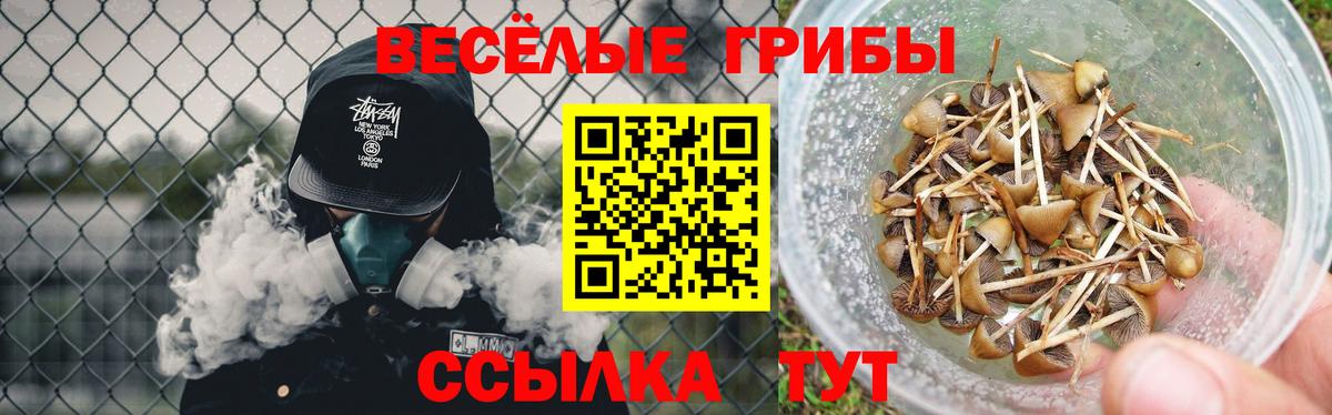 Павловский Посад  Псилоцибиновые грибы GOLDEN TEACHER  Вход с VPN  Псилоцибиновые грибы мухоморы 